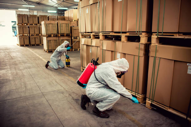 Best Bed Bug Extermination  in Brownsville, OR