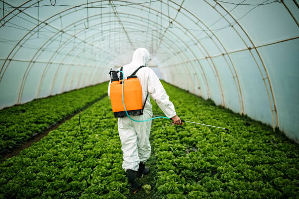 Best Mosquito Control Services  in Brownsville, OR