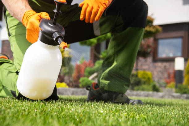 Best Commercial Pest Control Services  in Brownsville, OR