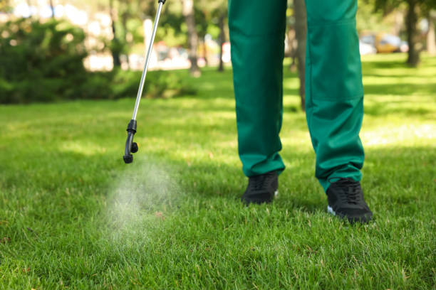 Best Best Pest Control Companies  in Brownsville, OR