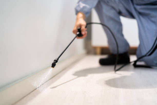 Best Flea Control Services  in Brownsville, OR
