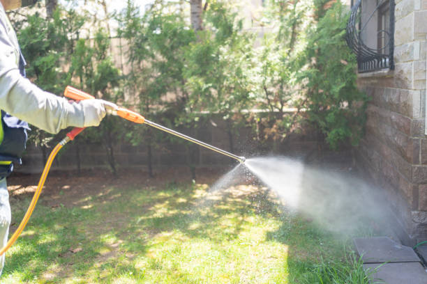 Best Pest Removal Services  in Brownsville, OR