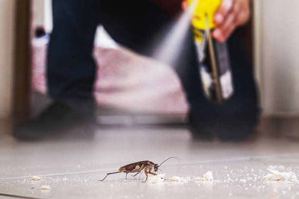Best Pest Removal Services  in Brownsville, OR