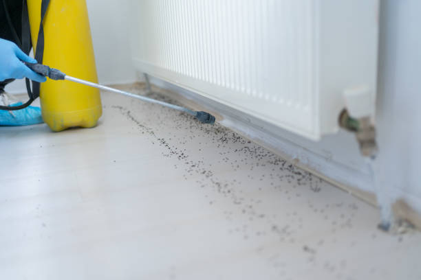 Best Wildlife Control Services  in Brownsville, OR